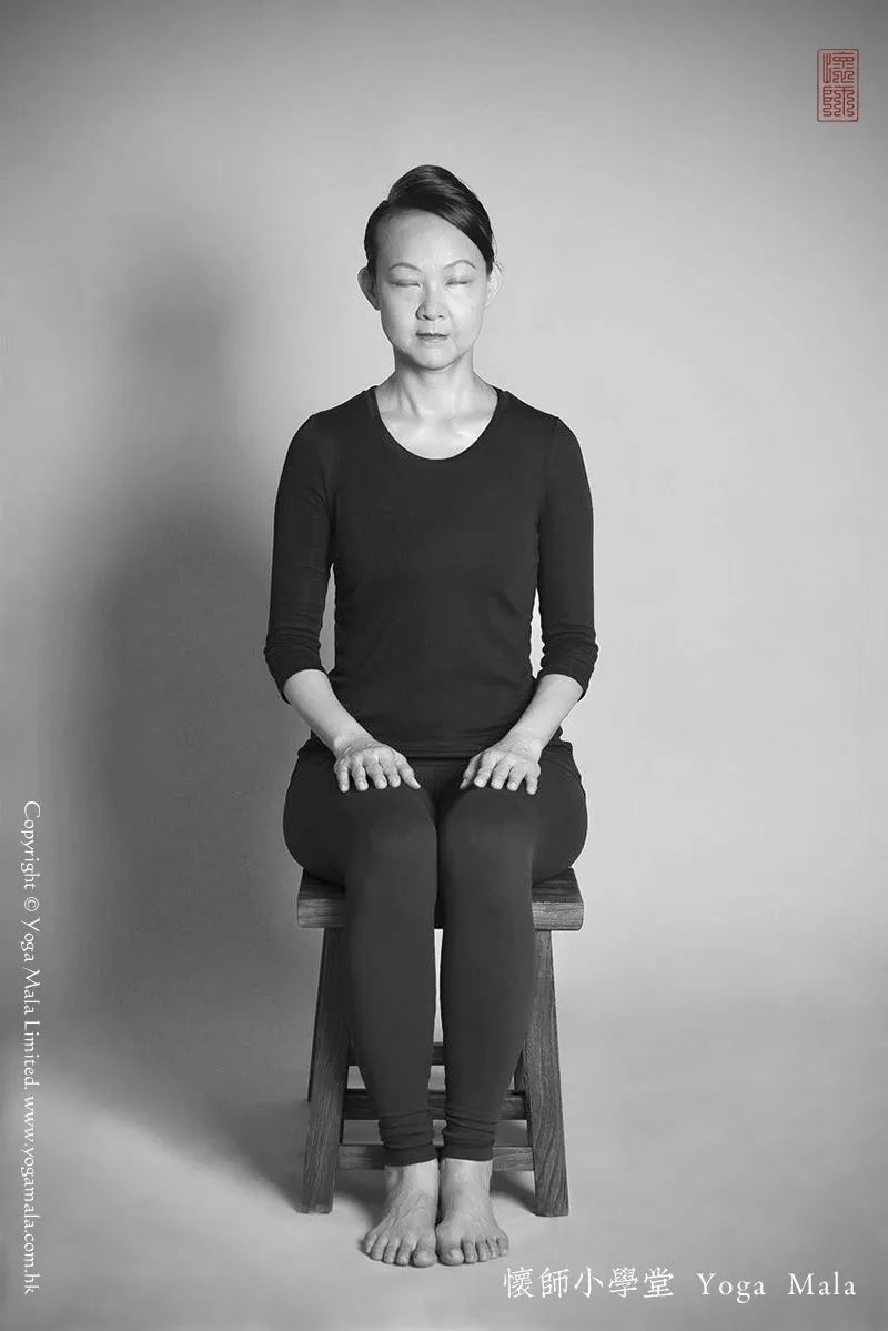 南師說瑜伽靜坐修道與長生不老七支坐法的形式附圖