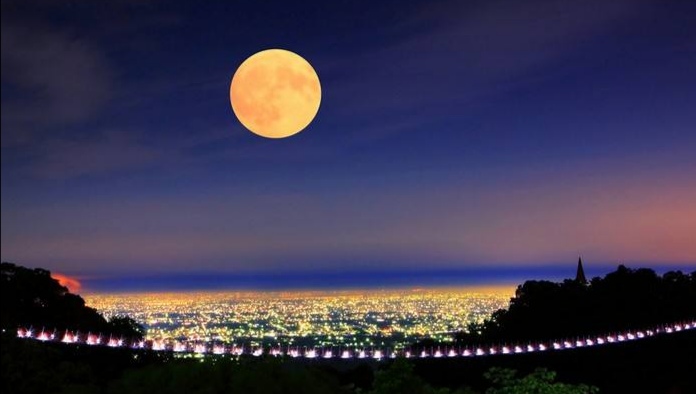 思念折一张荷叶包一片皎洁的月光夹在回忆里春日读诗