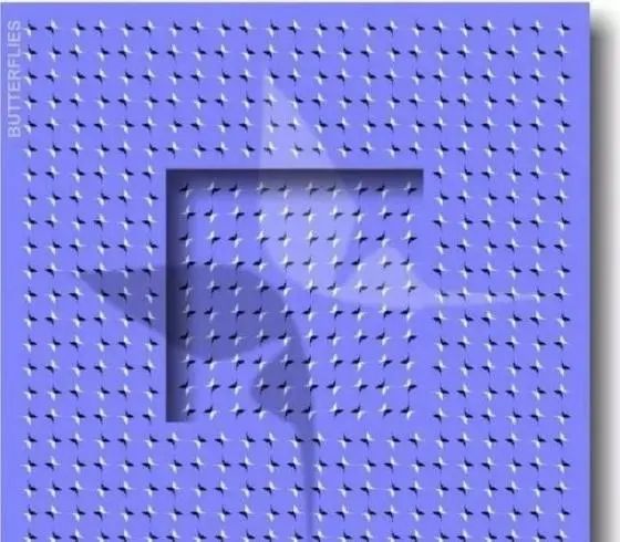 2,看你能不能找出小天鹅请你们先认真的盯住上面那张图的中心点,大概