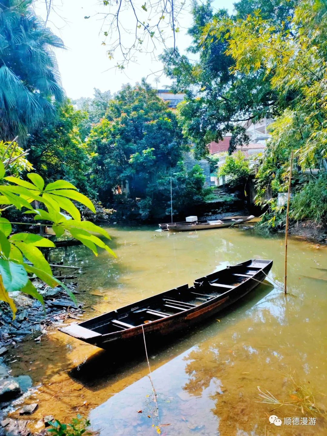 容桂大汕岛之春