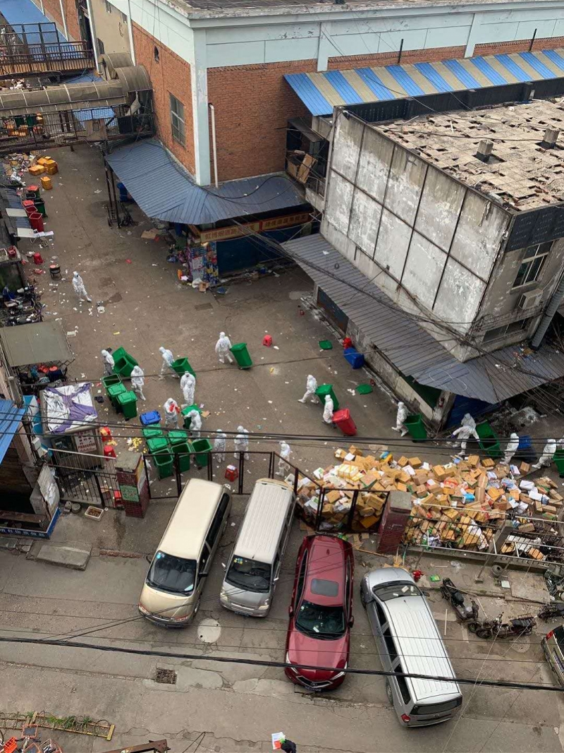 华南海鲜市场恐怖图片图片