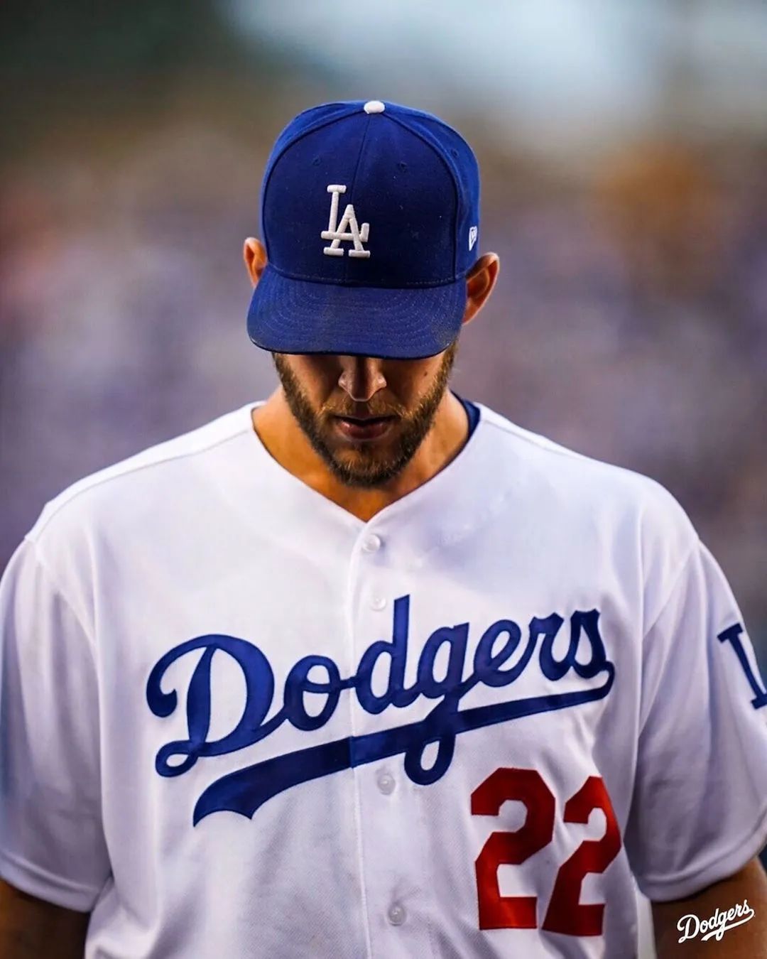 【球星搞笑】照片日精华在此 是在拍照还是拍电影?_道奇