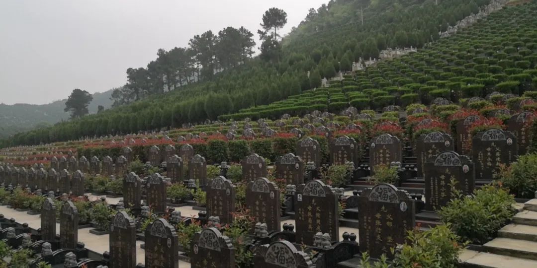 暂停市民现场祭扫活动!江阴花山公墓推出代祭扫服务