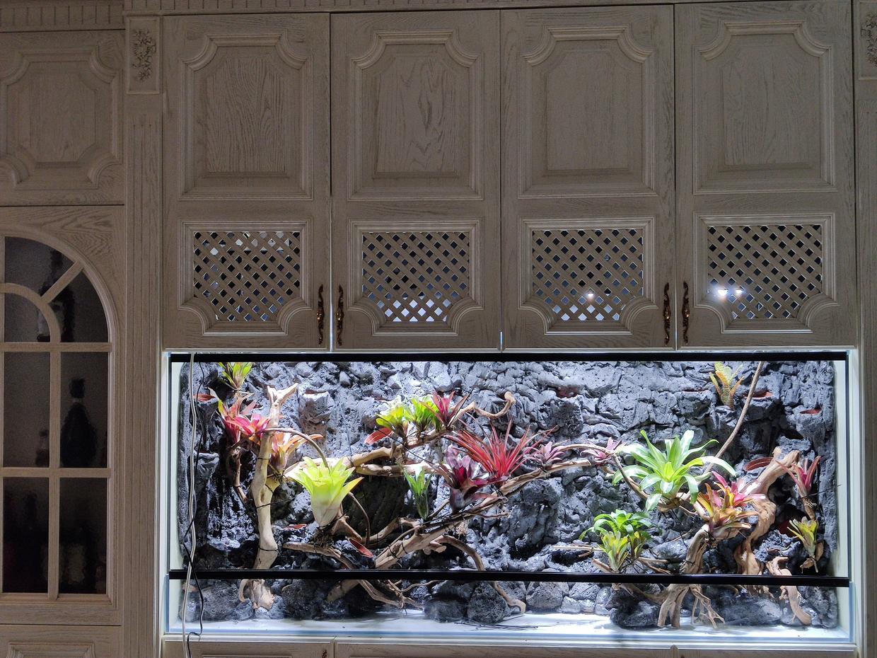 长沙小型雨林缸详细制作流程分享植来植趣