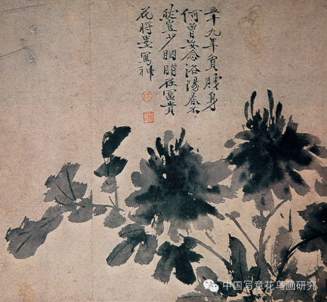 吕纪 玉堂富贵明 沈周 墨笔花卉明 徐渭明 徐渭明 陈淳 洛阳春色图卷