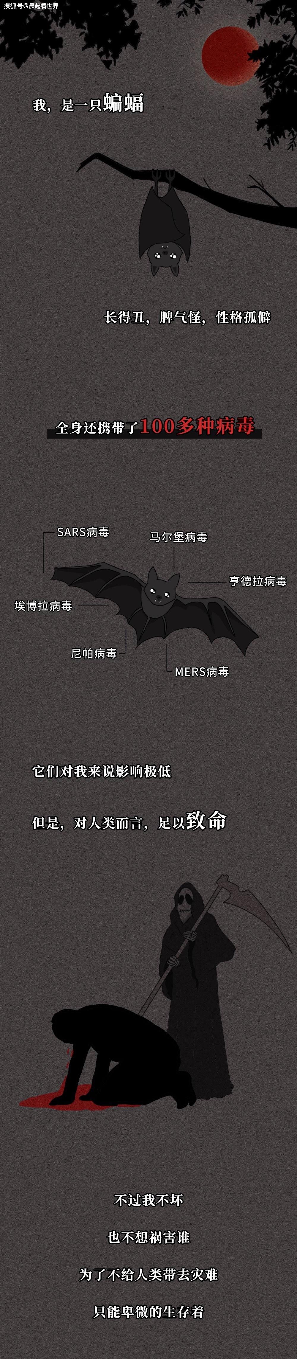 看完之后感觉怎么样!