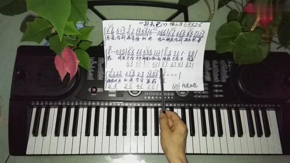 电子琴键盘别知己学会配和弦65326amgemdmam左手伴奏和弦