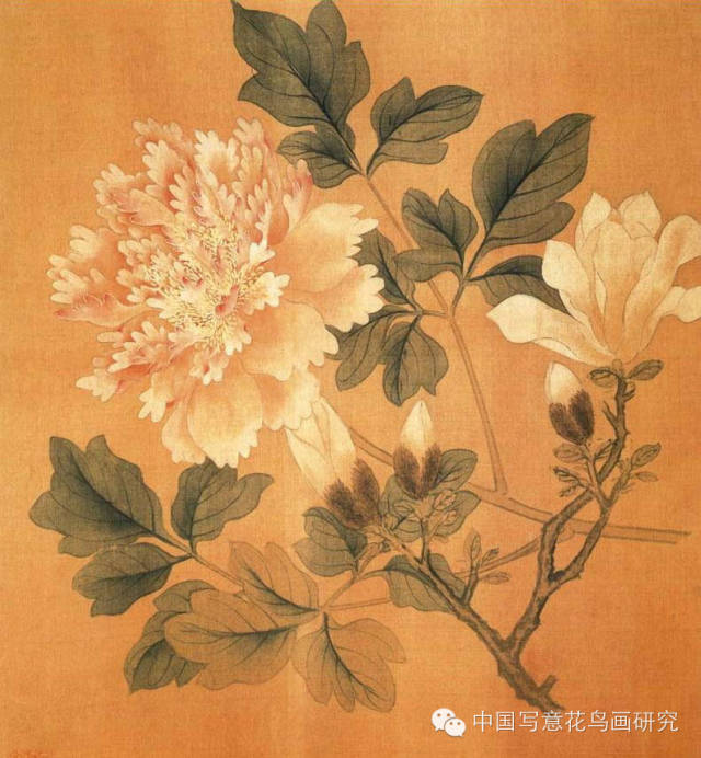 历代名家画牡丹一