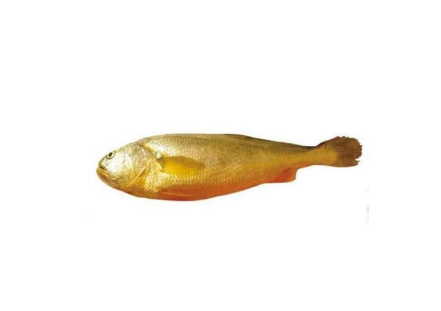 盘点世界四大最贵海鱼,你都认识吗?_金枪鱼