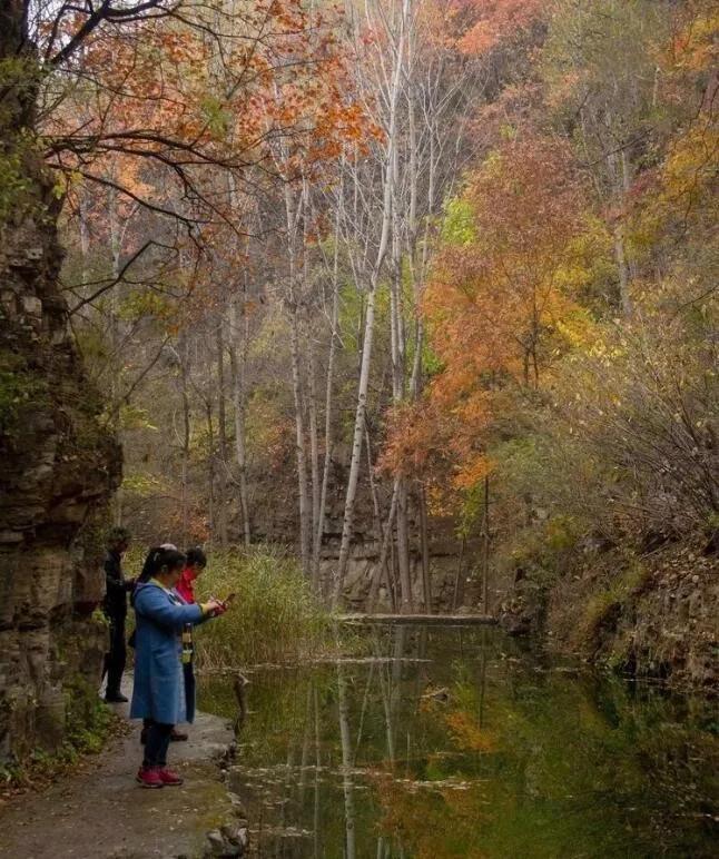 原创待春暖花开,我想去唐县去浪费人间,你陪我,可好?