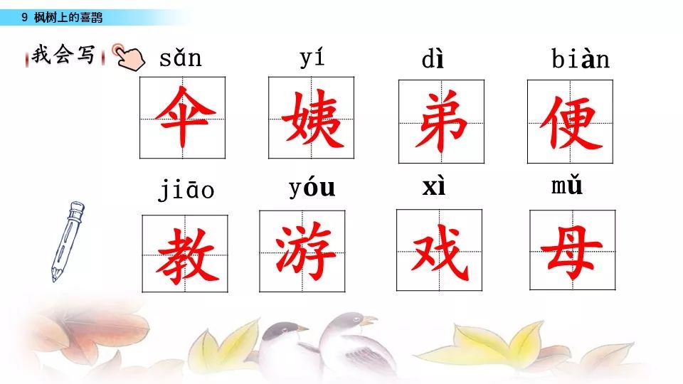 部编版二年级下册第9课枫树上的喜鹊图文讲解知识点梳理