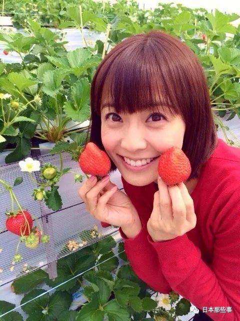 日本那些事",回复"小林麻耶"即可查看完整推送.