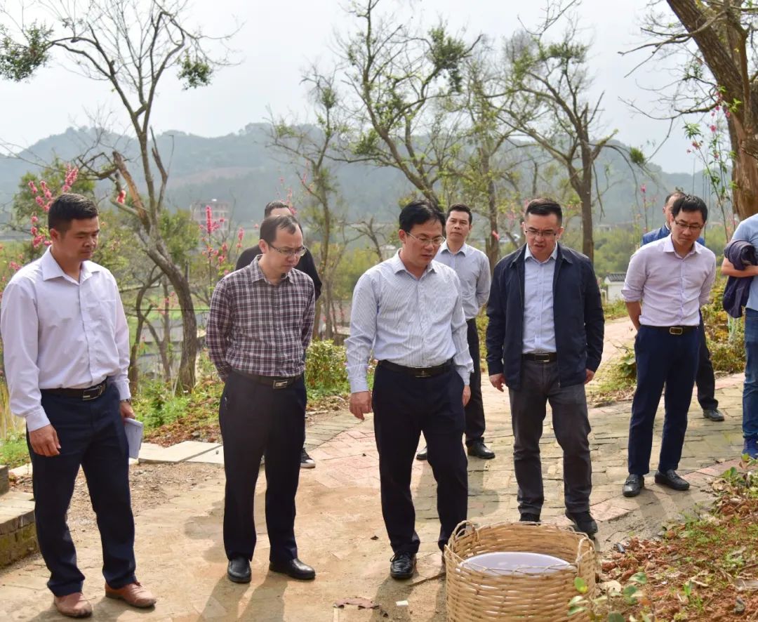 卢新华到富万村调研指导乡村旅游工作