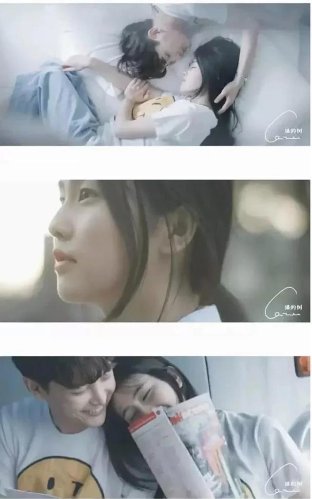 教程猫的树风格镜头技巧解析唯美系清新微电影完整攻略