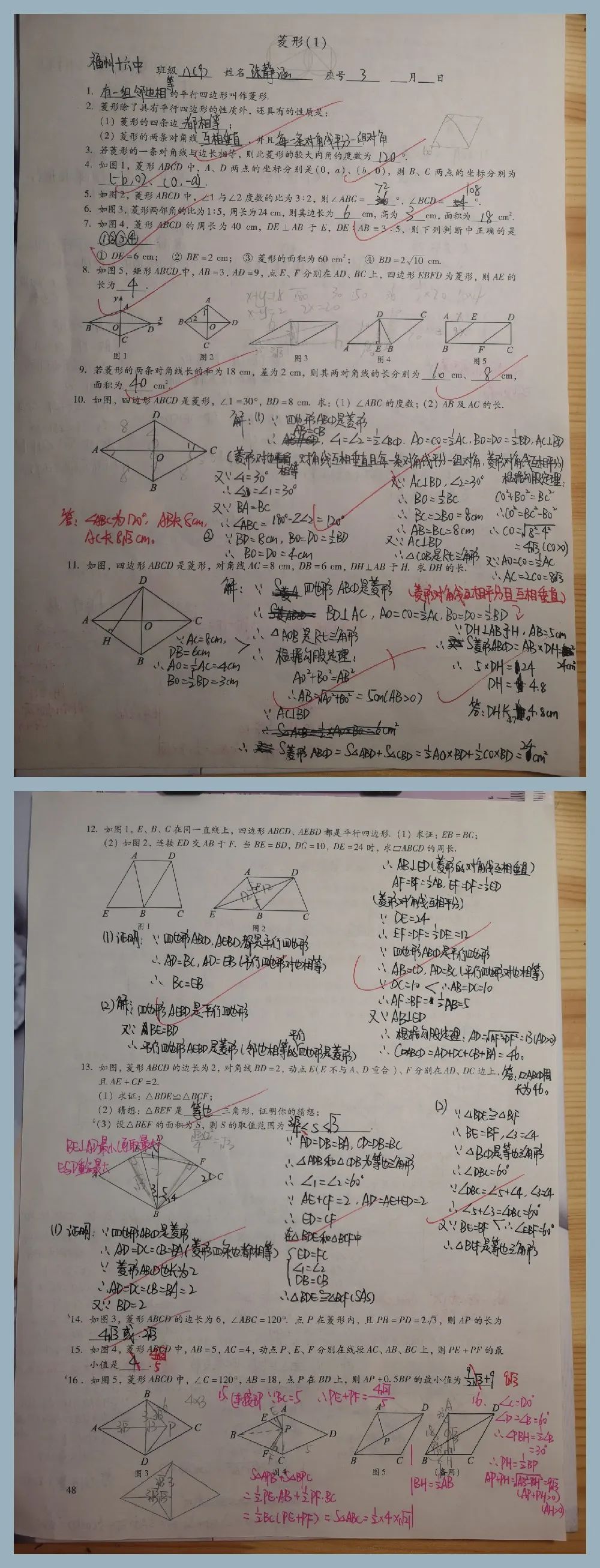 初二作业照片真实图片