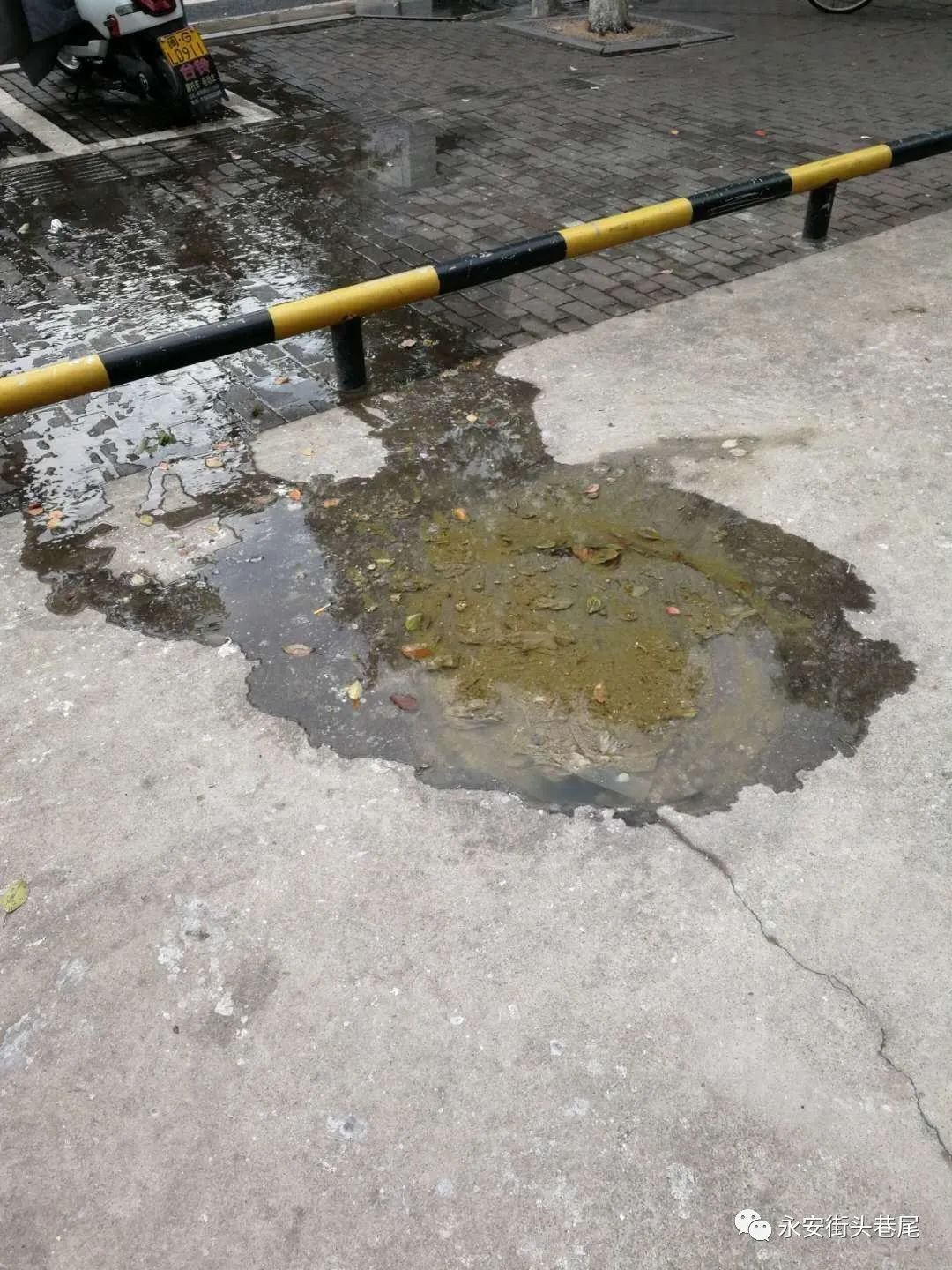 微友曝料永安东坡佰富门前粪水横流街面污染环境