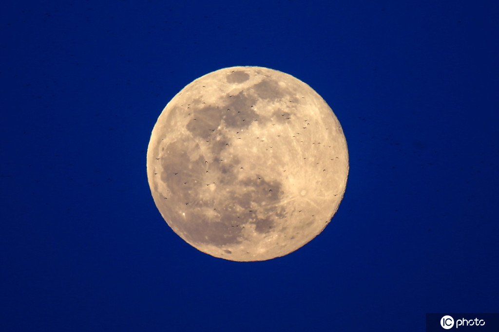 1/ 12 當地時間2020年3月9日,世界多國夜空再現