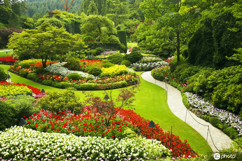 不出國門雲賞全球最美花園 春日景色迷人美到窒息