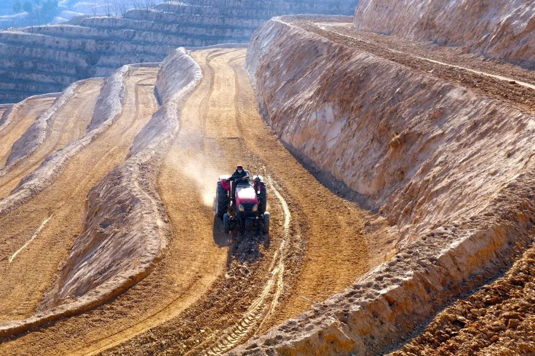 吴堡疫样春天别样复耕图