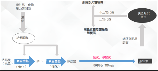 经验教程子霖老师：色斑、暗黄、痘印皮肤的特征