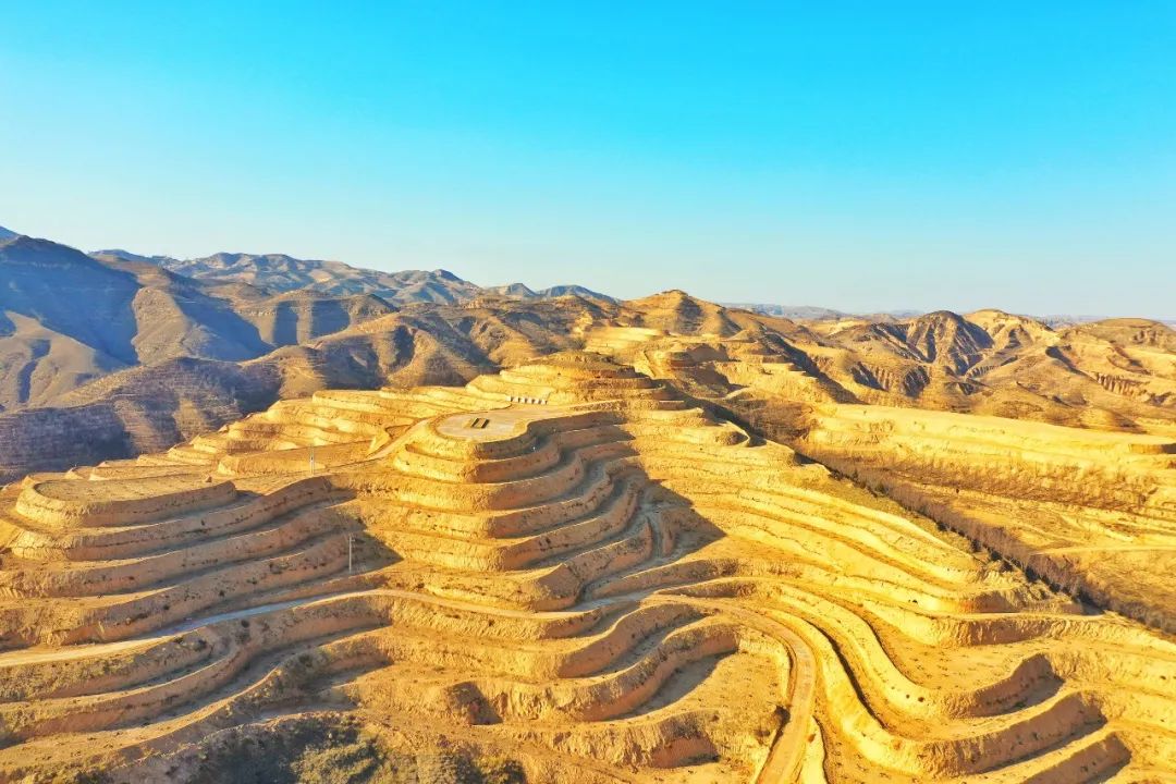 吴堡疫样春天别样复耕图