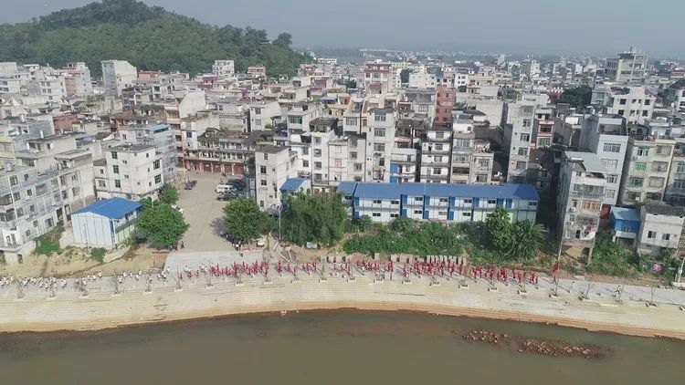 藤县蒙江镇河岸从灰鸭子变成白天鹅之路