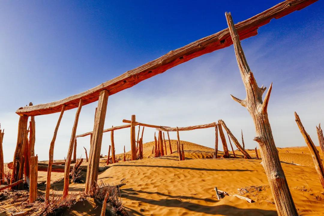 尼雅五星东方中的"千年尼雅"今天什么样?_遗址