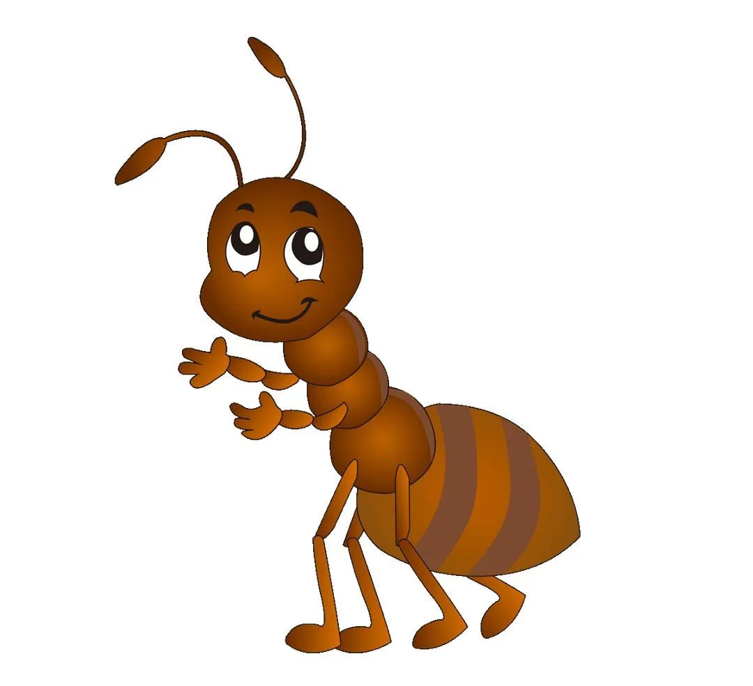 超过 20 张关于“蚂蚁物种”和“蚂蚁”的免费图片 - Pixabay