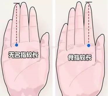 男人无名指长度有什么深刻含义