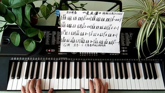 电子琴键盘g调走天涯配和弦625326左手伴奏158度音分解和弦
