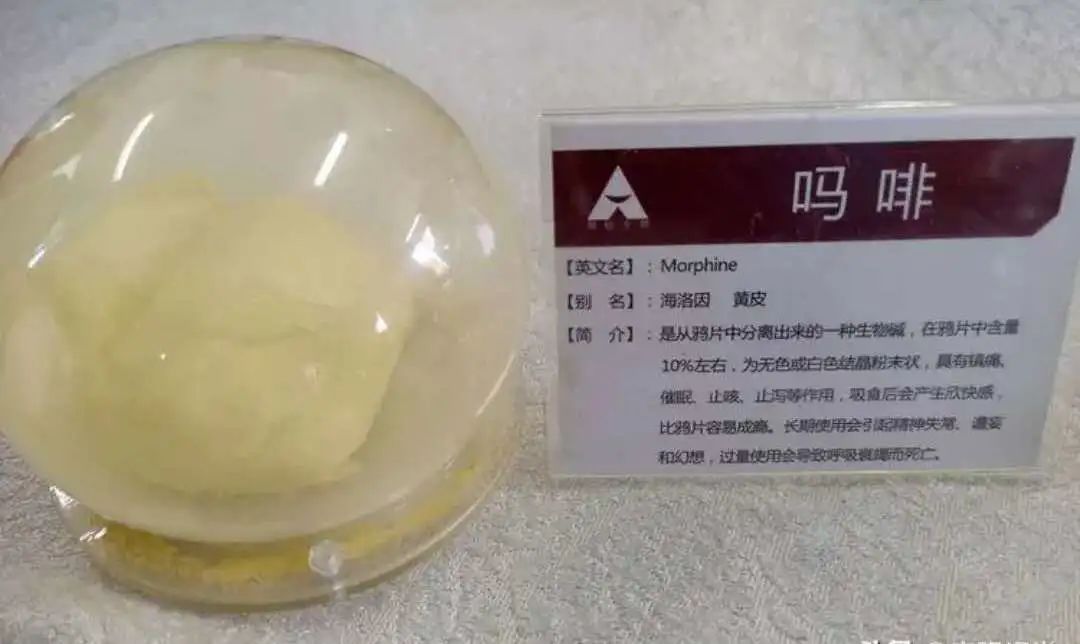 吗啡 (morphine)是从鸦片中分离出来的一种生物碱,在鸦片中含量10%