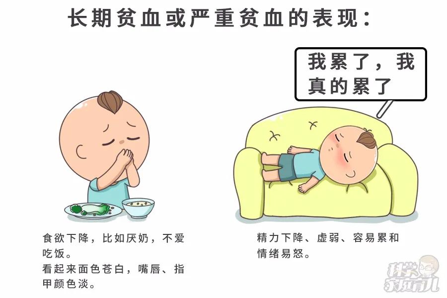 比宝宝贫血更可怕的,是家长乱补铁!_缺铁性