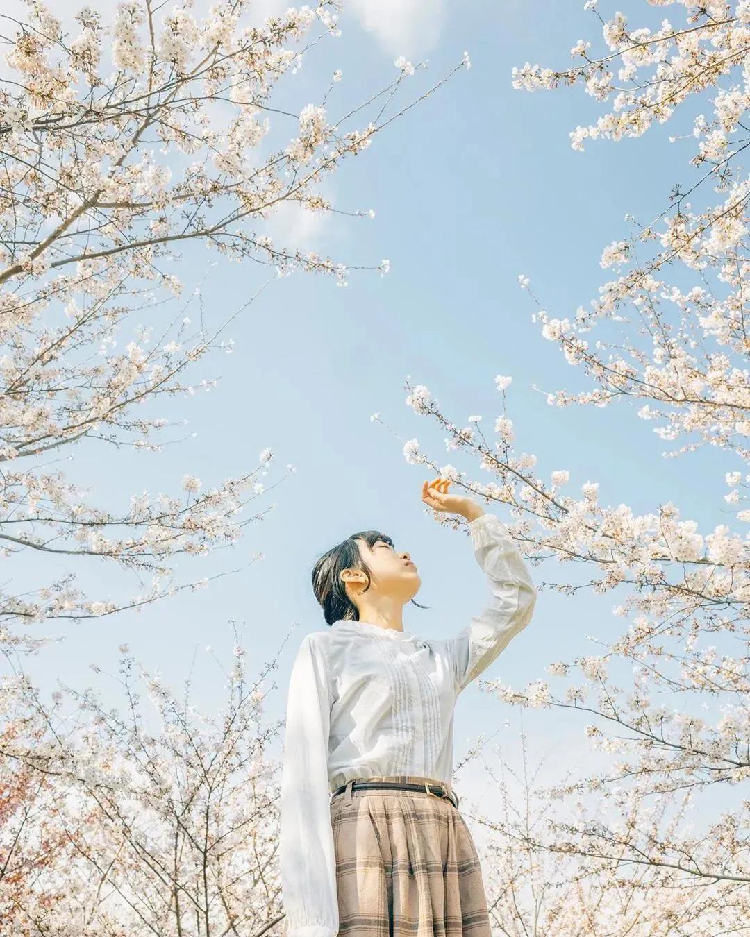樱花人像,这么拍才好看_仰拍