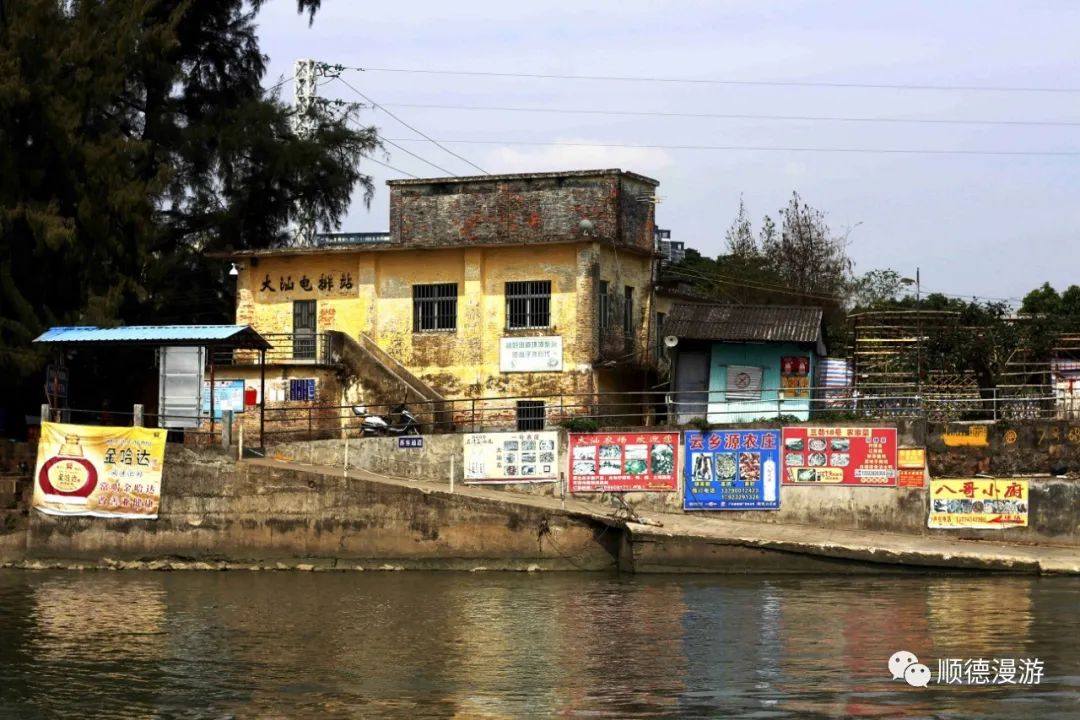 容桂大汕岛之春