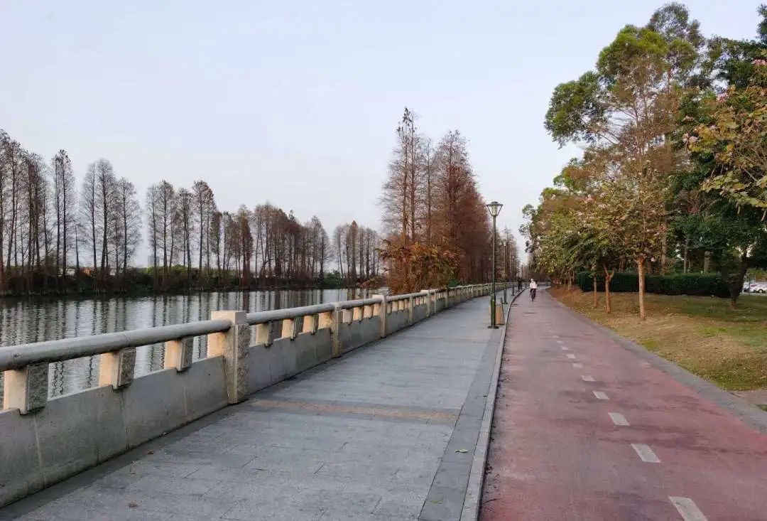 "狮滘河北岸和沙溪北即将大变样▲目前,狮滘河南岸滨河公园已建成开放