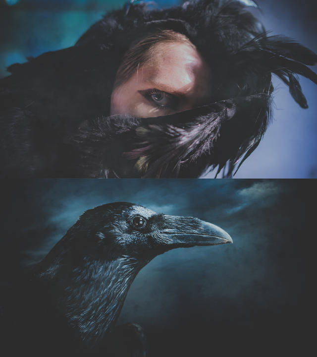 黑色的乌鸦 (哥特风)