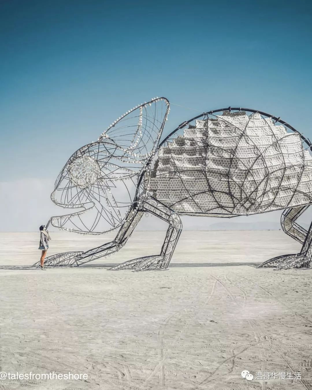 开眼了全球最夸张的艺术装置都在这里啦