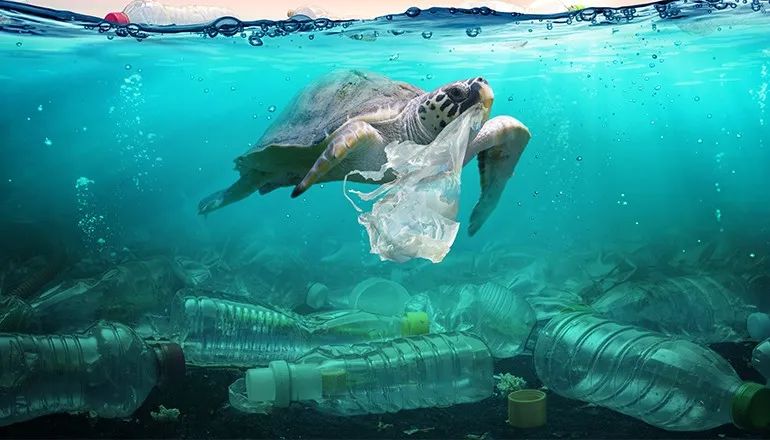 废弃口罩污染海洋图片