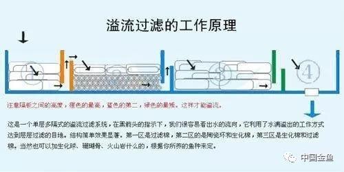 建議收藏九種魚缸過濾器系統的性能對比