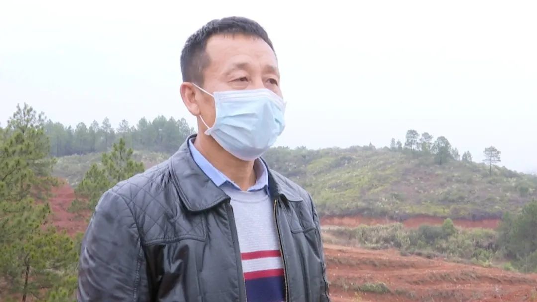 在芦溪乡合东村的脐橙基地上,村支部书记黄德文正带着村民们把去年留