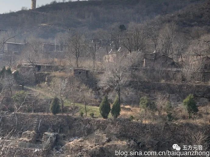 邢台西寨村图片