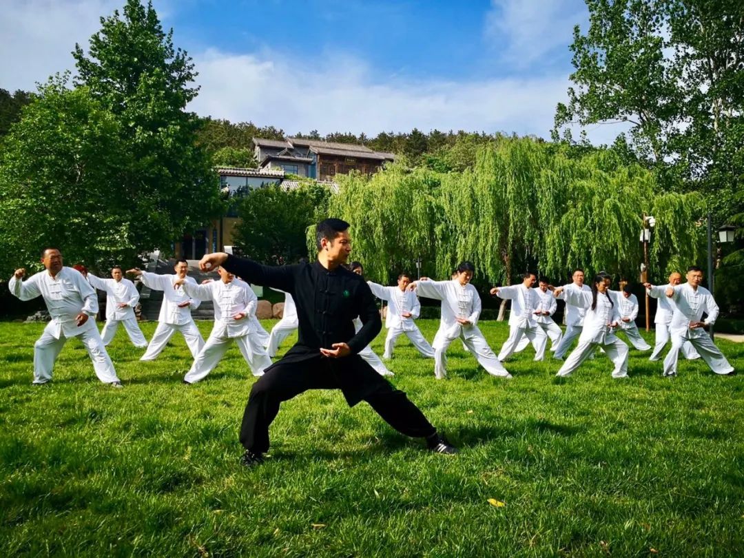 增强体质战疫有我潍坊籍影视明星教你练武术