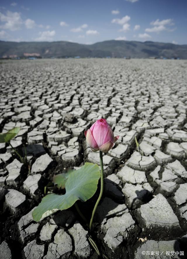 生命是指一种"东西"的存在,同时,也是人类对生命现象存在的诠释
