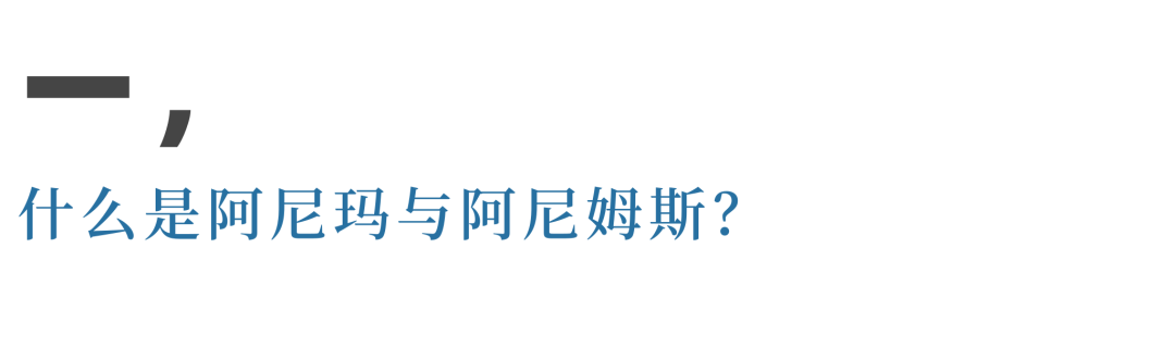 除了外在的原因,这些大抵都是阿尼玛与阿尼姆斯在背后操纵的结果.