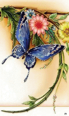 会动的照片花飞蝴蝶乱太美了值得收藏