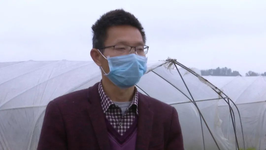 "3月6日,在芦溪乡社园村大棚基地,农业技术员正在指导工人们栽下第一