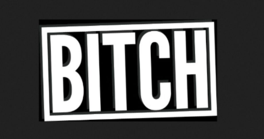 bitch是一个很强大的词别以为它只是骂人