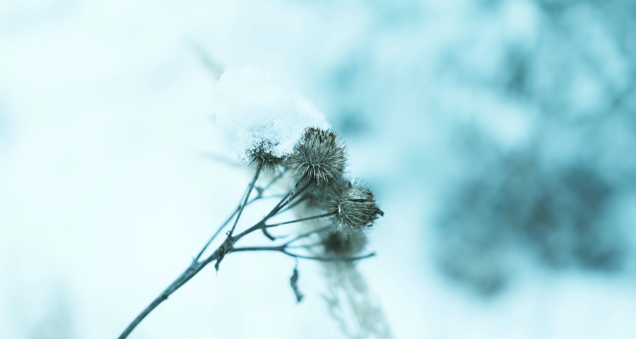 2020年家电流通业:实体店不一定那么难,网店不一定那么容易-家电圈官网