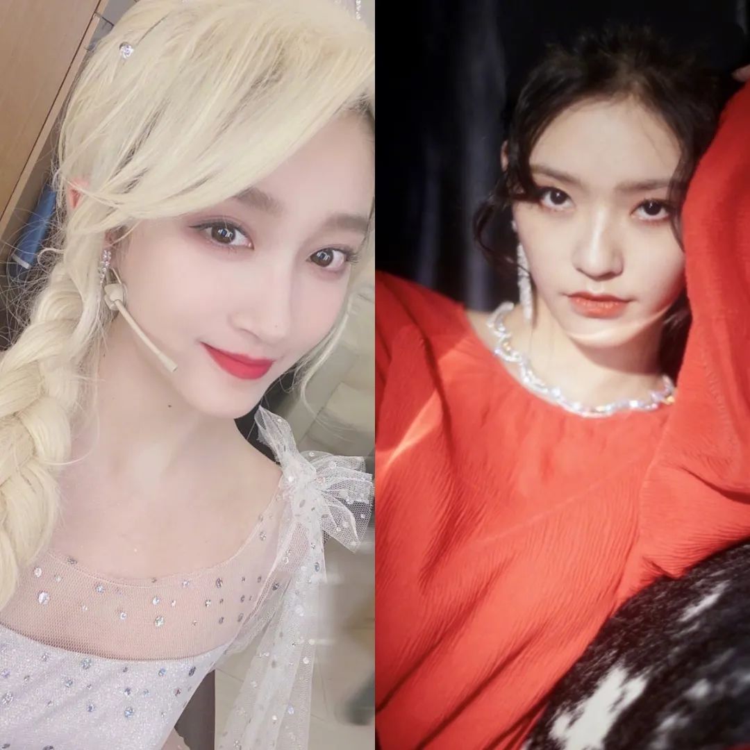 小八卦:一直养小宝贝的大花被反噬了!