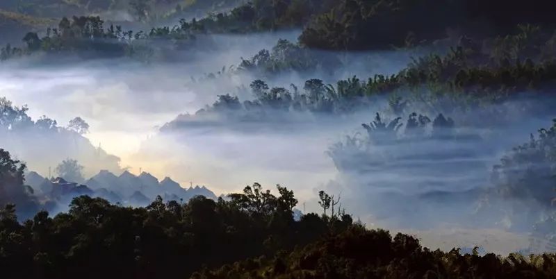 刀哥说茶细说普洱山头茶之勐宋七寨